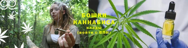 шишки Покров