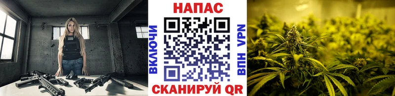хочу   Кириллов  Шишки марихуана Ganja 